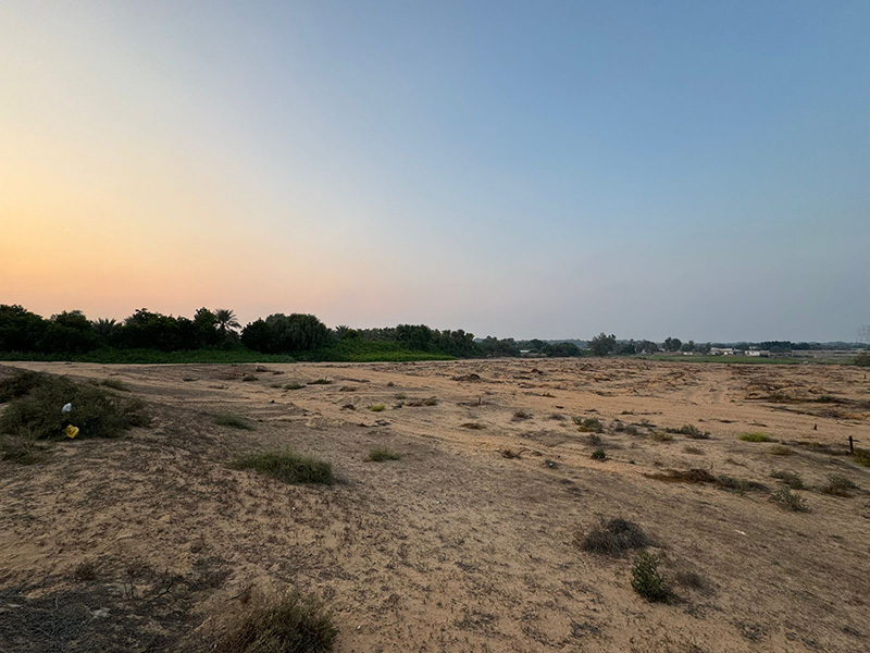real estate ajman rent