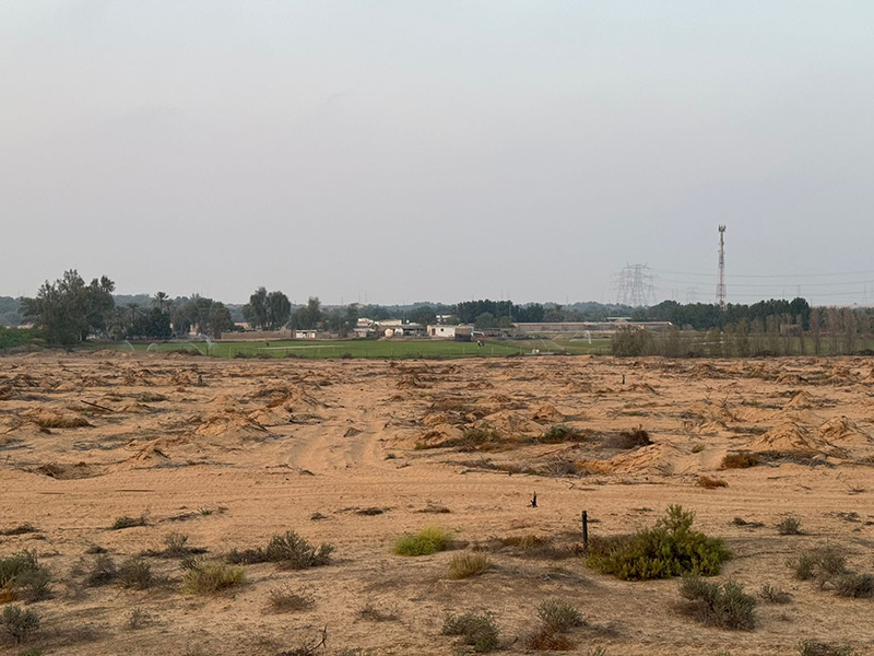 real estate ajman rent